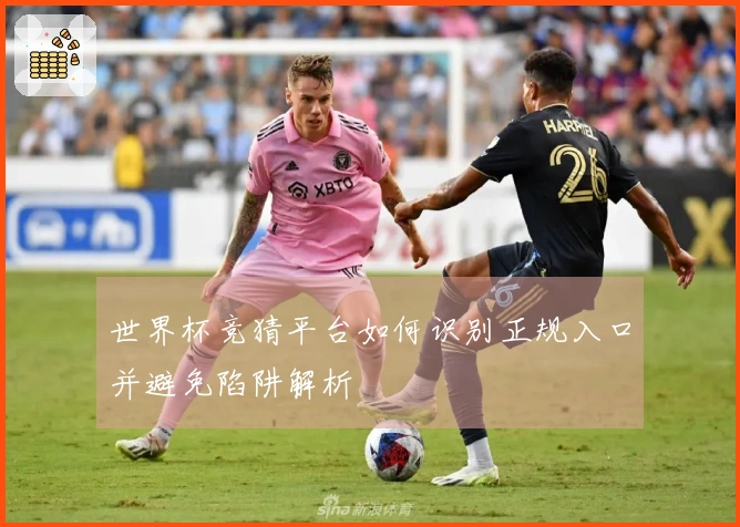 世界杯竞猜平台如何识别正规入口并避免陷阱解析