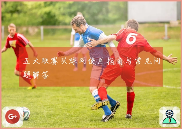 五大联赛买球网使用指南与常见问题解答