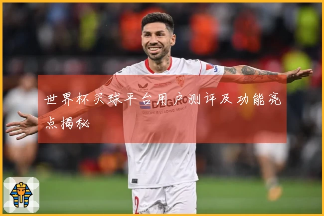 世界杯买球平台用户测评及功能亮点揭秘