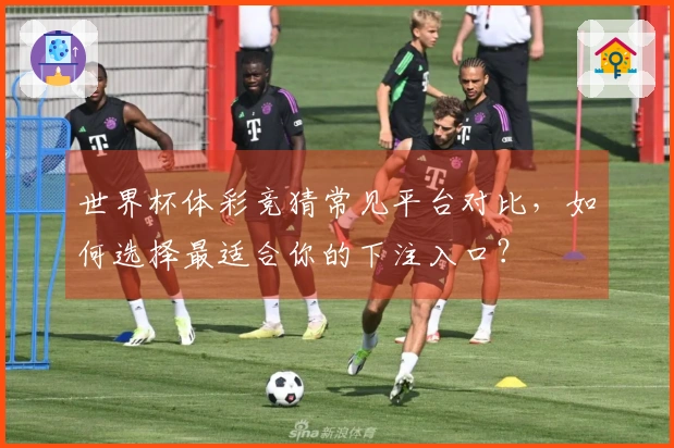 世界杯体彩竞猜常见平台对比，如何选择最适合你的下注入口？