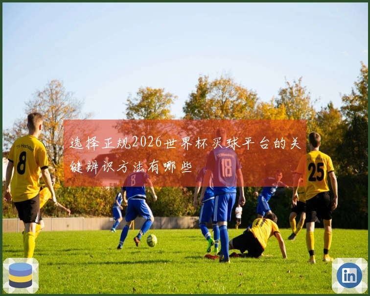 选择正规2026世界杯买球平台的关键辨识方法有哪些