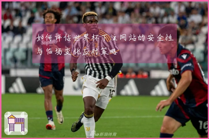 如何评估世界杯下注网站的安全性与临场变化应对策略