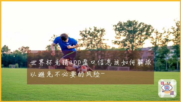 世界杯竞猜app盘口信息该如何解读以避免不必要的风险-