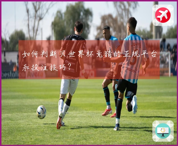 如何判断买世界杯竞猜的正规平台和投注技巧？