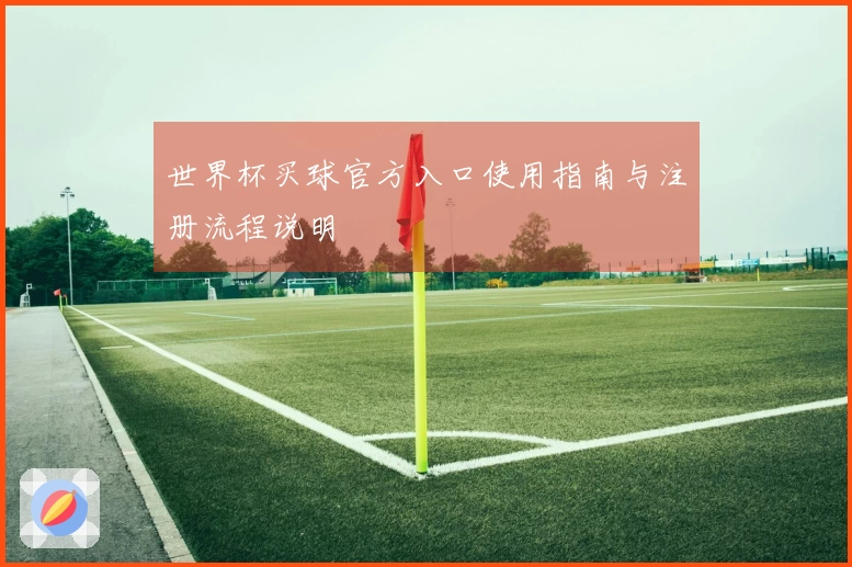 世界杯买球官方入口使用指南与注册流程说明