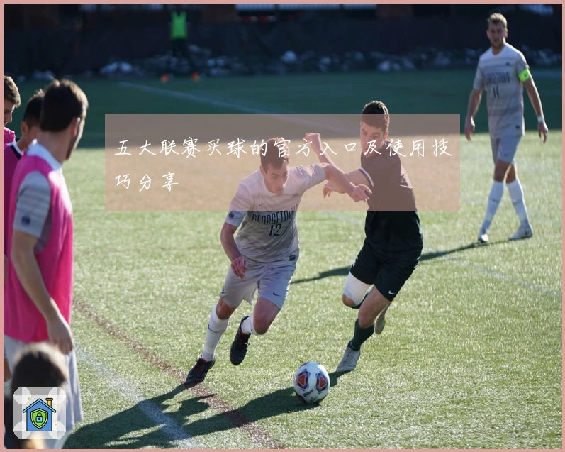 五大联赛买球的官方入口及使用技巧分享