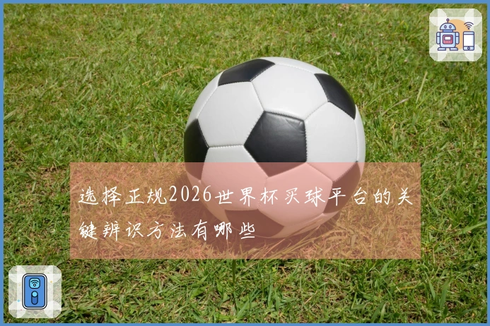 选择正规2026世界杯买球平台的关键辨识方法有哪些