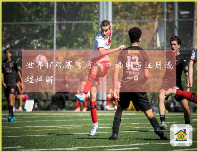 世界杯观赛官方入口说明与注册流程详解