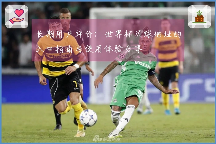 长期用户评价：世界杯买球地址的入口指南与使用体验分享