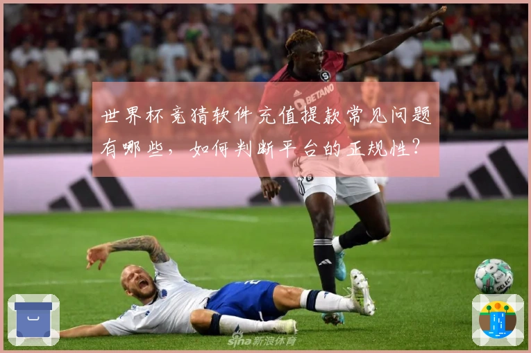 世界杯竞猜软件充值提款常见问题有哪些,如何判断平台的正规性?
