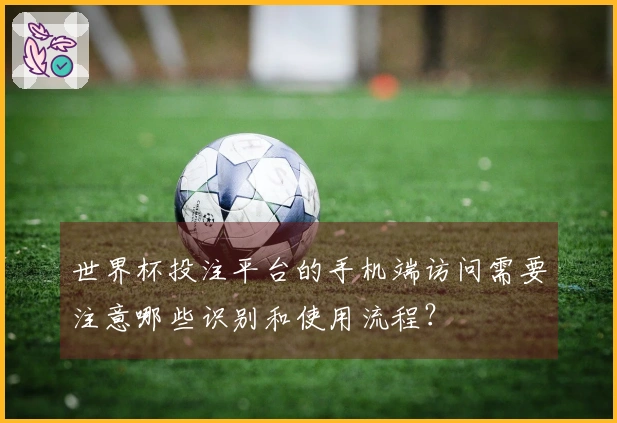 世界杯投注平台的手机端访问需要注意哪些识别和使用流程？
