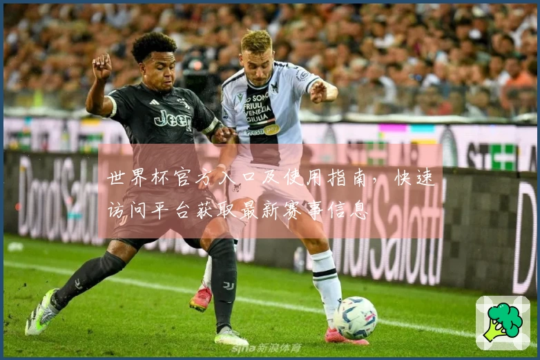 世界杯官方入口及使用指南，快速访问平台获取最新赛事信息