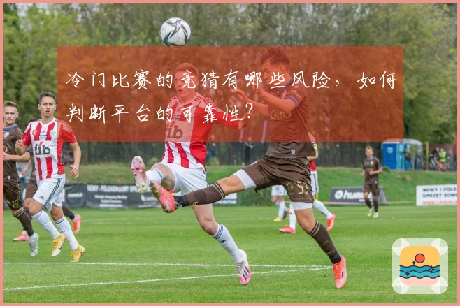 冷门比赛的竞猜有哪些风险，如何判断平台的可靠性？