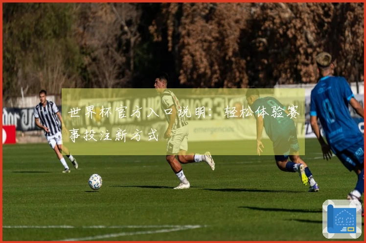 世界杯官方入口说明：轻松体验赛事投注新方式