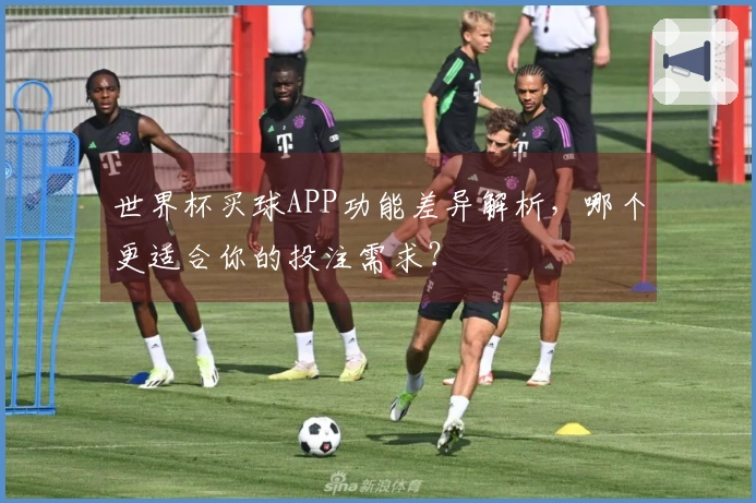世界杯买球APP功能差异解析，哪个更适合你的投注需求？