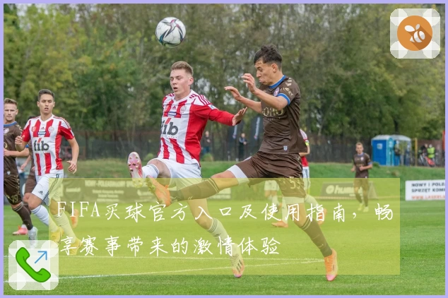 FIFA买球官方入口及使用指南，畅享赛事带来的激情体验