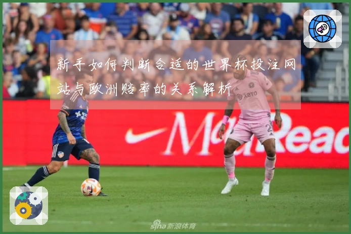新手如何判断合适的世界杯投注网站与欧洲赔率的关系解析