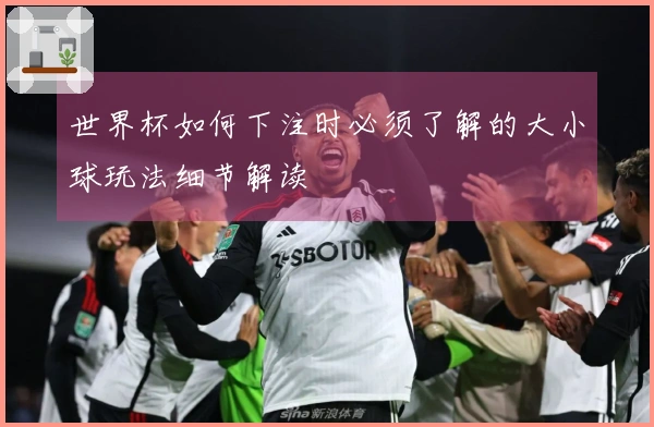 世界杯如何下注时必须了解的大小球玩法细节解读